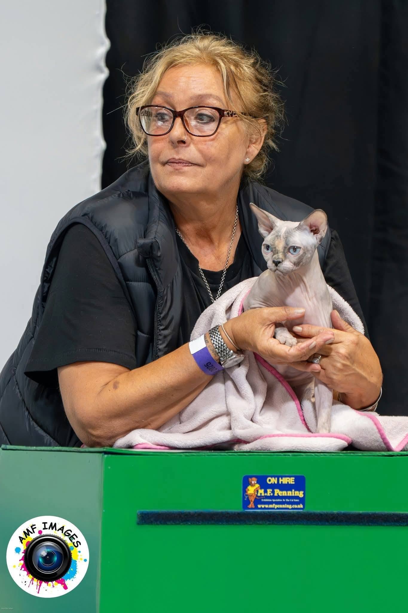 Hairless Whiskers gallery photo