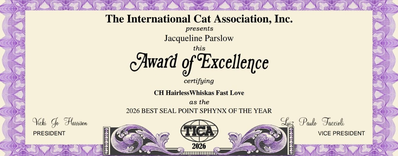 TICA Award of Excellence: CH Hairless Whiskas Fast Love, 2026 Best Seal Point Sphynx of the Year