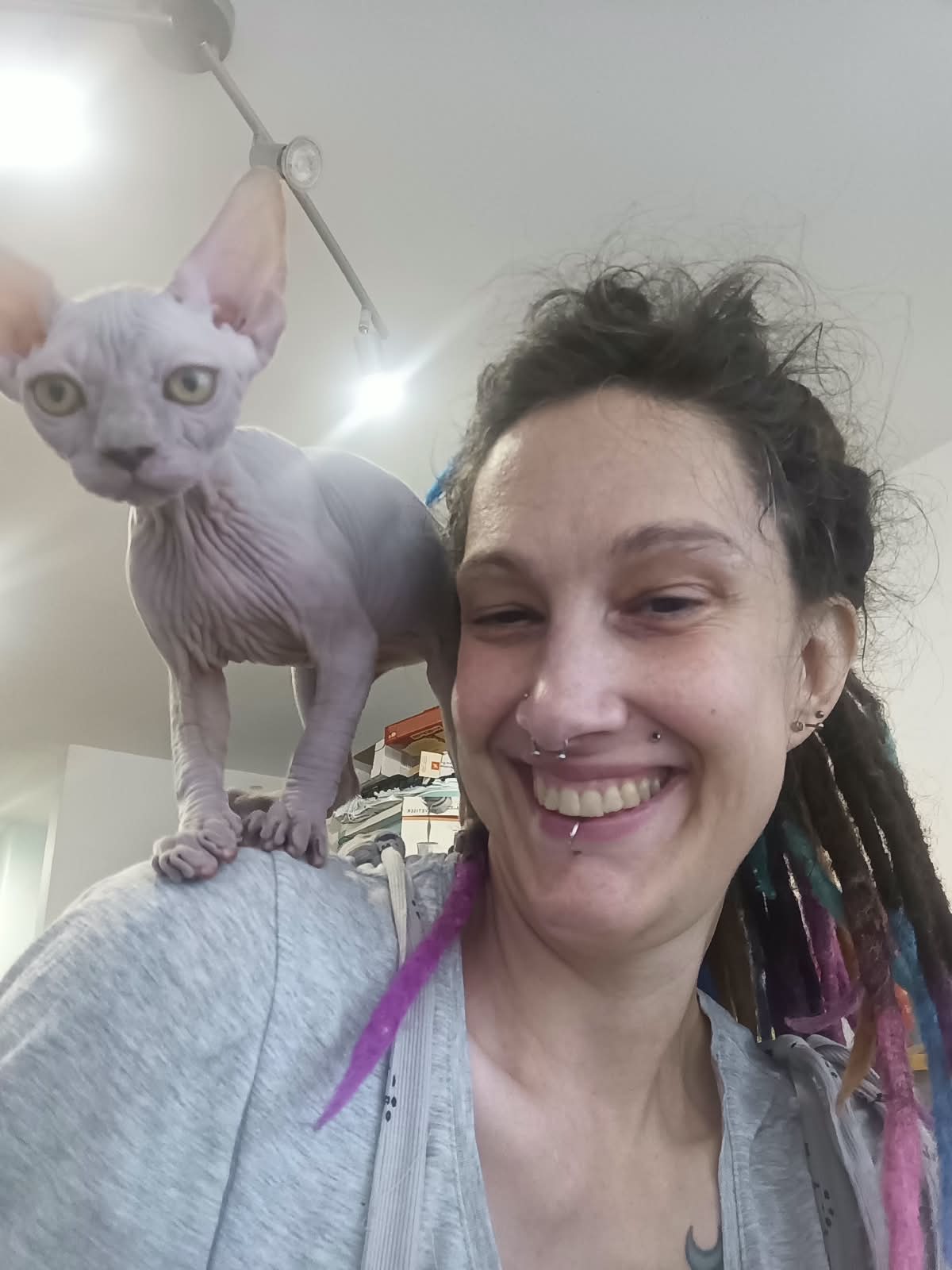 Hairless Whiskas Edge of Dreams, aka Zena, on the shoulder of her new mum