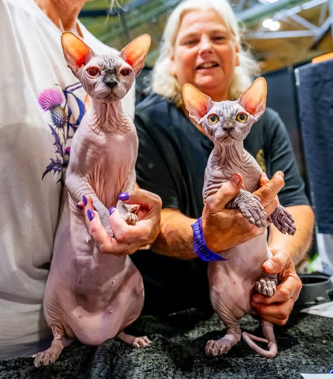 Jelly Tot and her son Squidly Diddley at a show