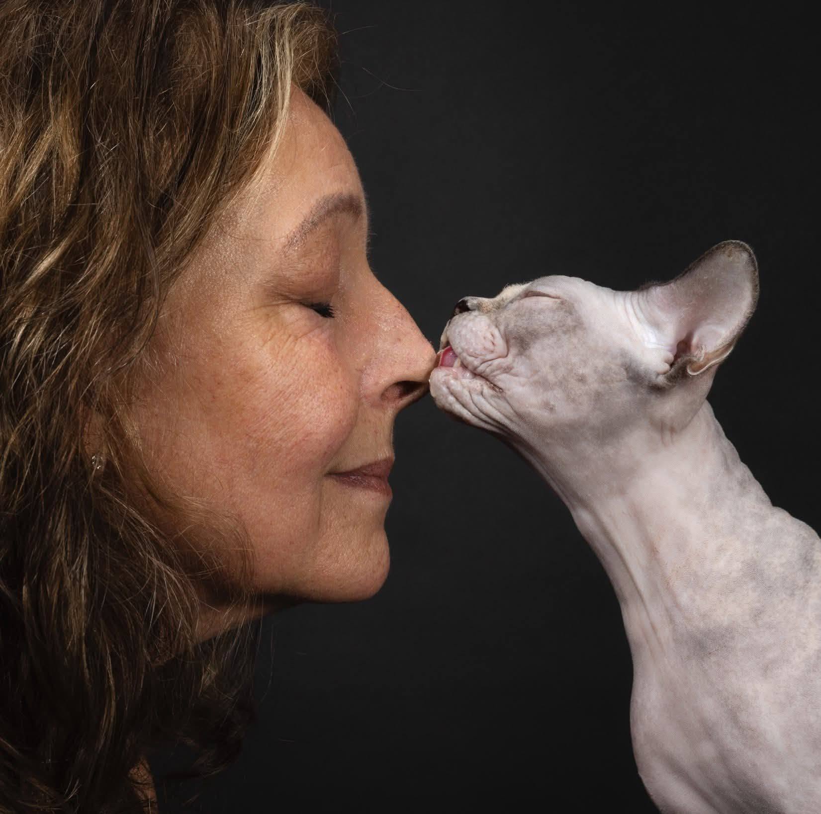 Hairless Whiskers Sphynx Cat